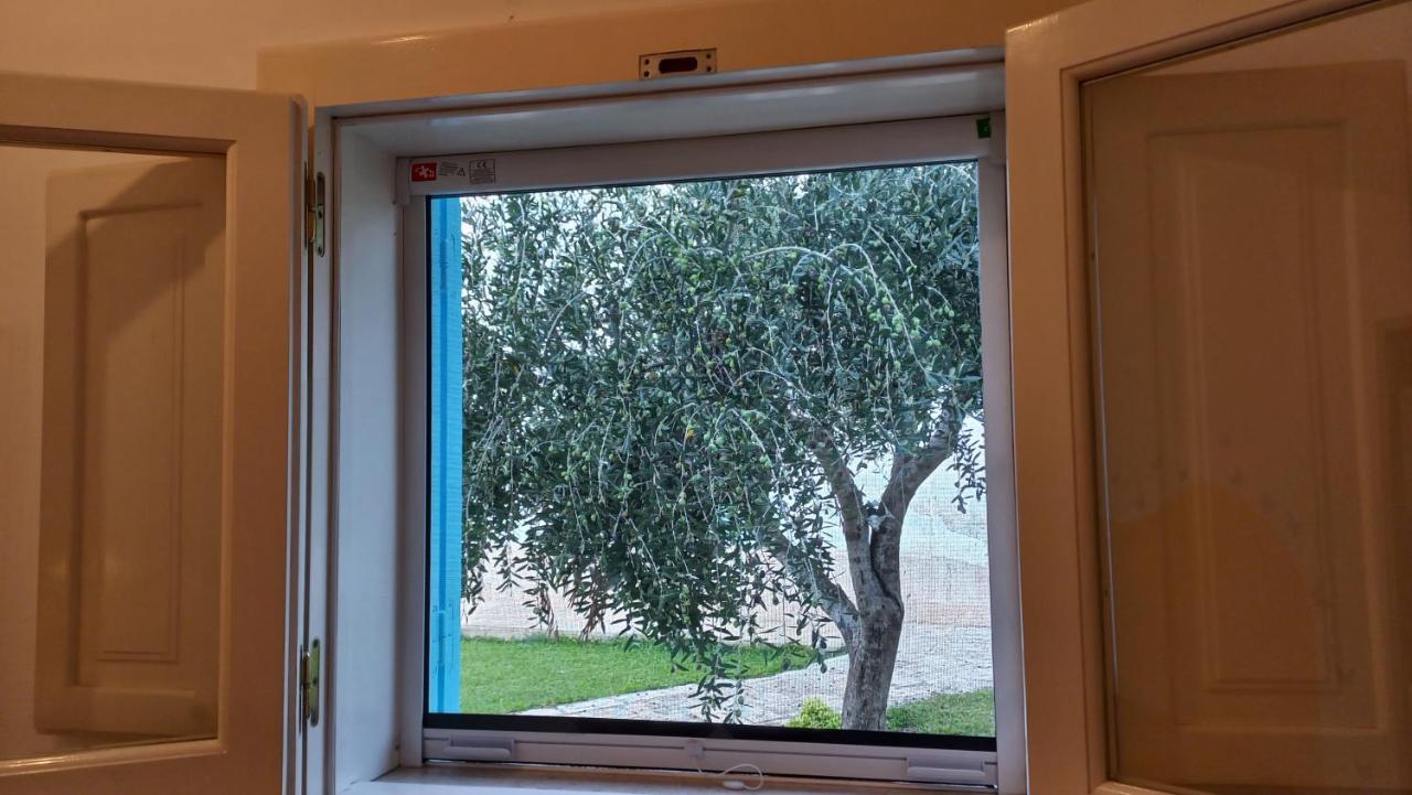Villino Tronchetto Bianco Bed & Breakfast Mola di Bari Ngoại thất bức ảnh