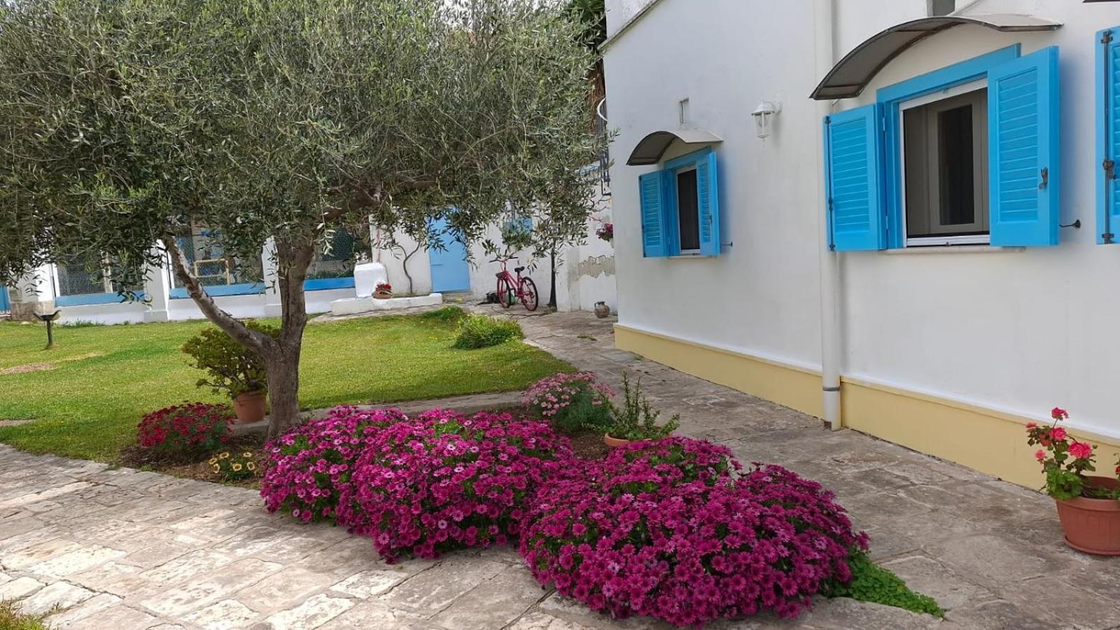 Villino Tronchetto Bianco Bed & Breakfast Mola di Bari Ngoại thất bức ảnh