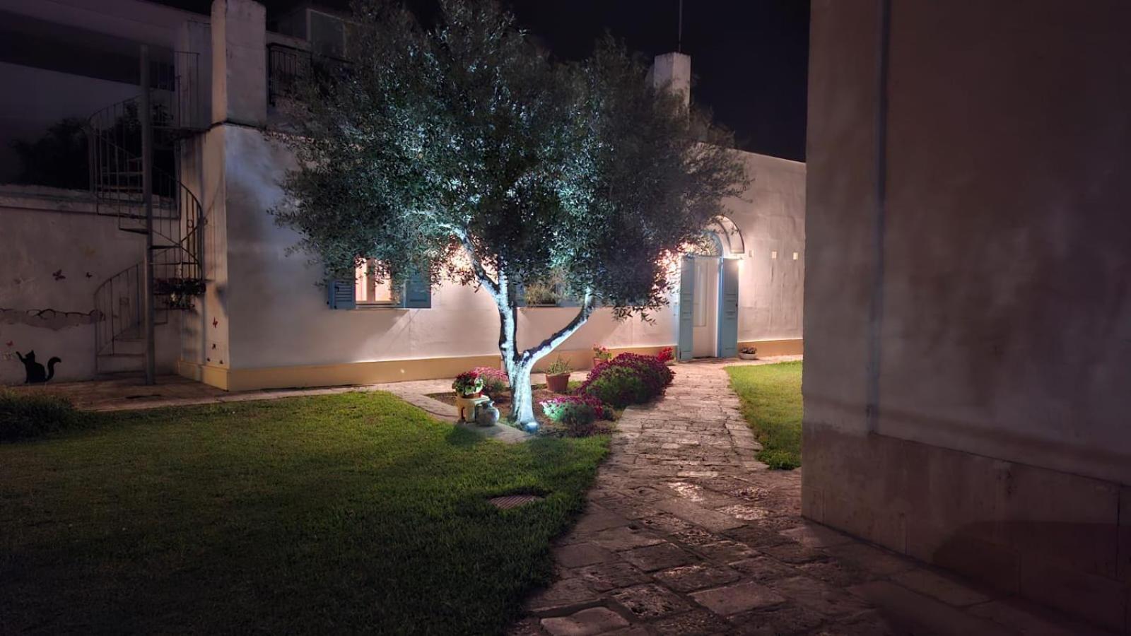 Villino Tronchetto Bianco Bed & Breakfast Mola di Bari Ngoại thất bức ảnh